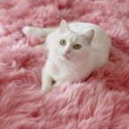 PAGISOFE Rainbow Purple Rugs for Girls Bedoom 5x7 Ft, Fluffy Cute Colorful Pastel Princess Carpet for Living-Room Kids Nursery, Ultra Soft Dorm Rug for Room Decor Aesthetic,Hot Pink Bedroom Decor