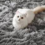 PAGISOFE Dark Grey Large Area Rugs for Living Room Carpet, 8x10 Rug, Big Fluffy Modern Area Rug, Shaggy Indoor Soft Rugs for Playroom, Men, Women, Kids Bedroom Rug, Home Decor, Plush Fuzzy Shag Rug