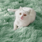 PAGISOFE Fluffy Soft Area Rug,Plush Furry for Girls Bedroom,Shaggy and Kawaii Rug for Playroom,Nursery,Baby's Toddler's Room,Cute and Colorful Room Decor for Kids,3x5,Rainbow