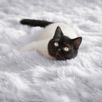PAGISOFE Dark Grey Large Area Rugs for Living Room Carpet, 8x10 Rug, Big Fluffy Modern Area Rug, Shaggy Indoor Soft Rugs for Playroom, Men, Women, Kids Bedroom Rug, Home Decor, Plush Fuzzy Shag Rug